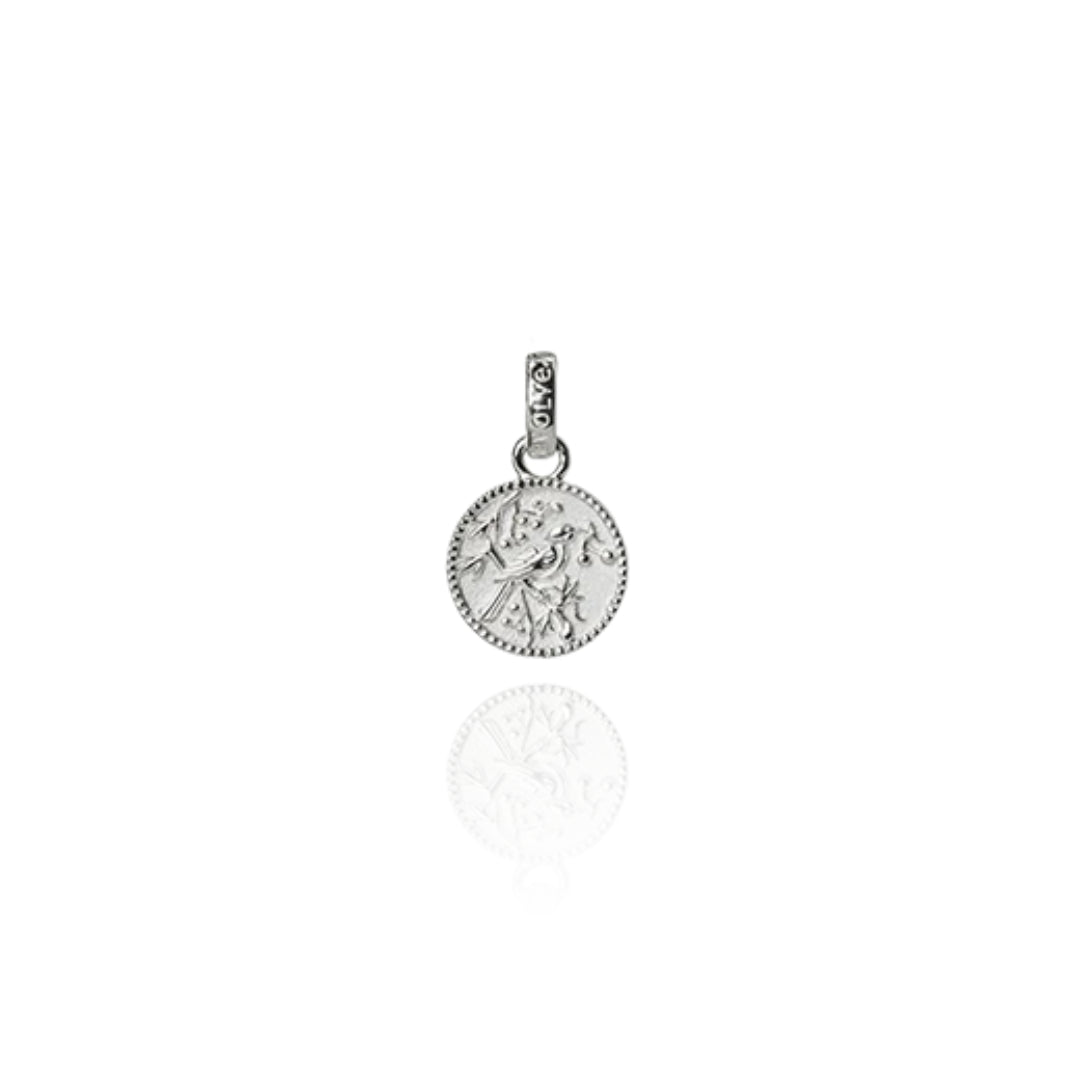 Evolve | Tui Coin | Silver | Pendant Charm