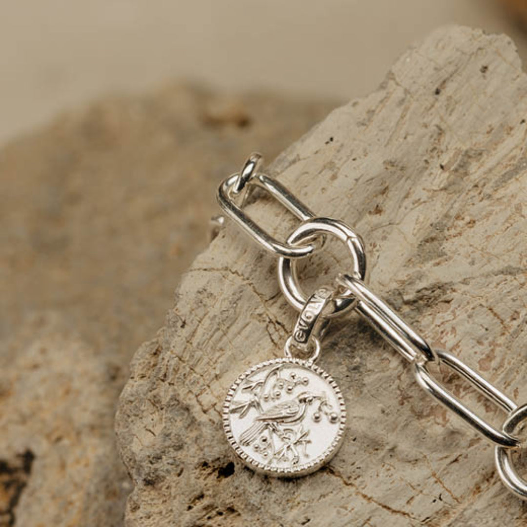 Evolve | Tui Coin | Silver | Pendant Charm