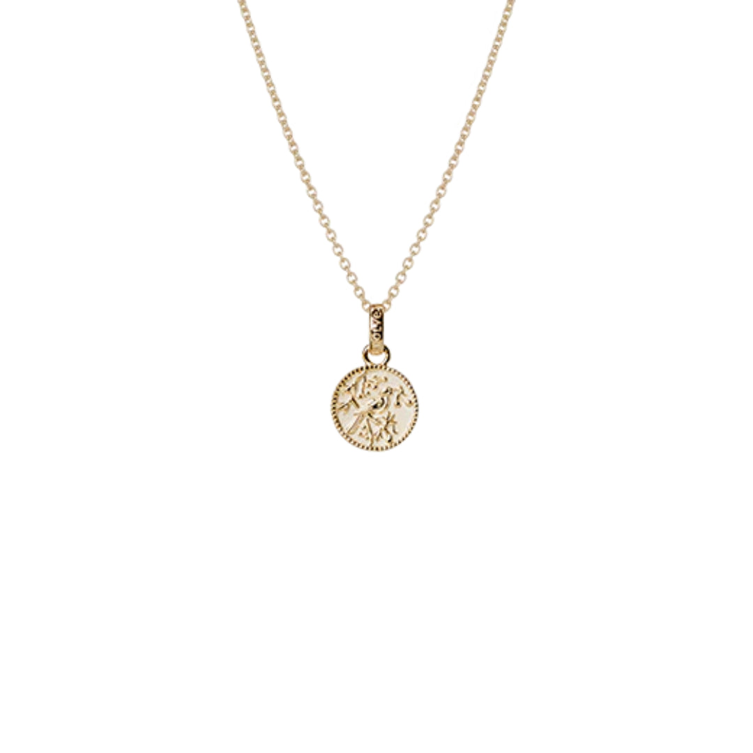 Evolve | Tui Coin | Yellow Gold Plated | Necklace