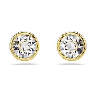 Swarovski Imber Stud Earrings Gold Plated