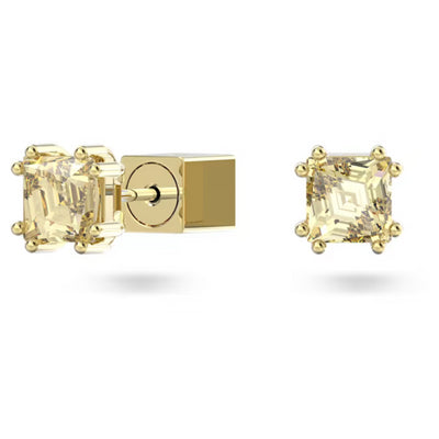 Swarovski Stilla Stud Earrings