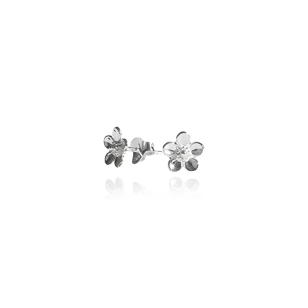 Evolve Manuka Studs (Treasured)