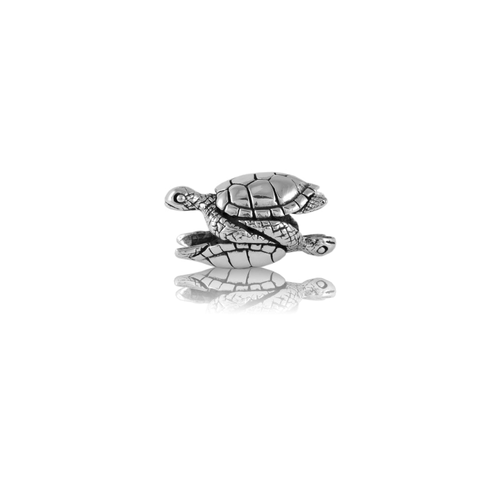 Evolve Sea Turtles Charm