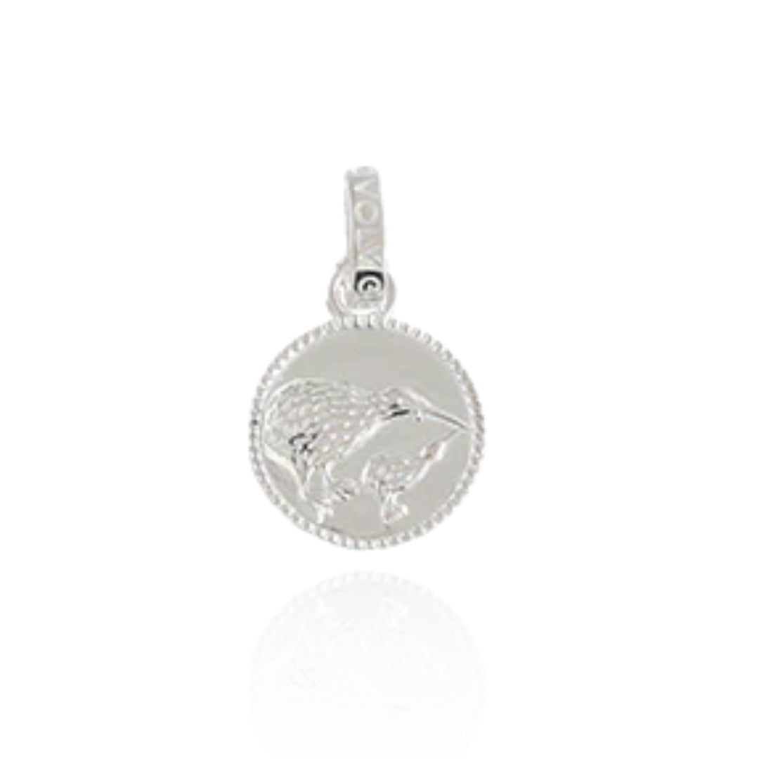 Evolve NZ Kiwi Coin Pendant Charm | STG