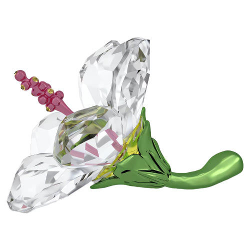 Swarovski | Florere | Hibiscus | Crystal | Small