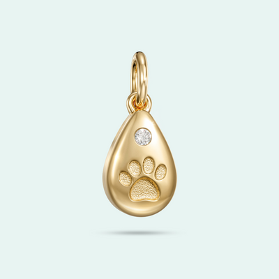 The Pawprint Drop Charm